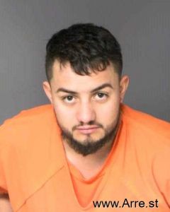 Harlin Santamaria Sales Arrest Mugshot